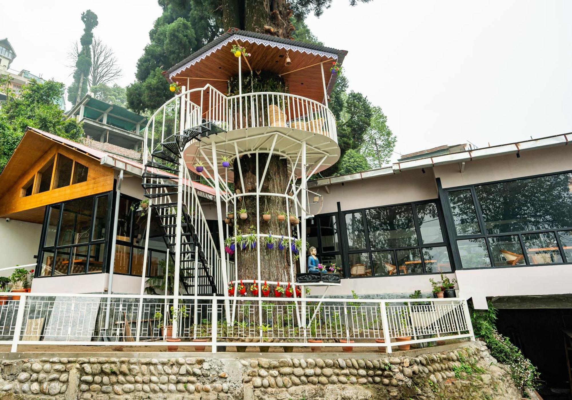 Arcadia Heritage Resort Darjeeling  Esterno foto